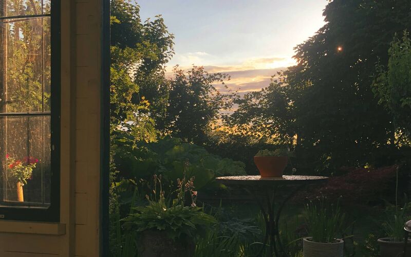 View through glass doors to lush outdoor greenery