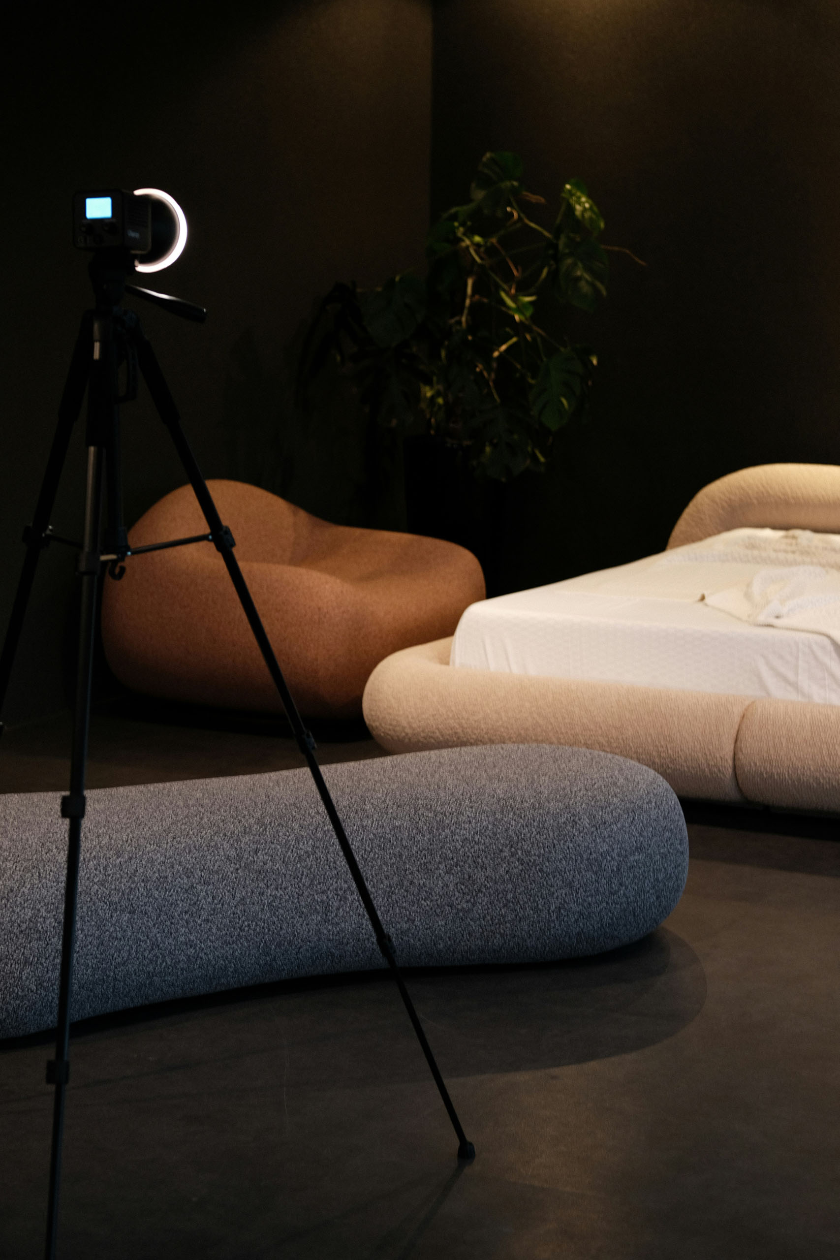 Bedroom with soft light and plant